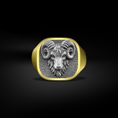 Bague chevalière homme - , ram