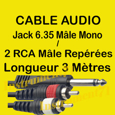 1 Câble 1 Jack 6,35 Mâle