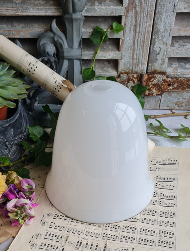 Ancienne tulipe opaline - tulipe,