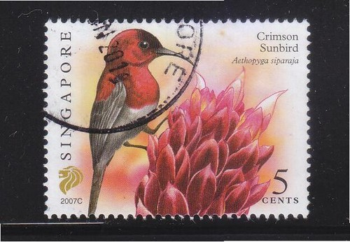 Singapour 2007 crimson sunbird - 2007,