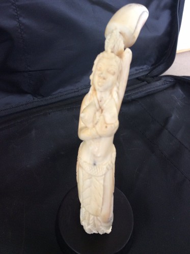 Dent phacochere sculptee - phacochere,