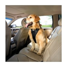 Harnais auto et marche Kurgo