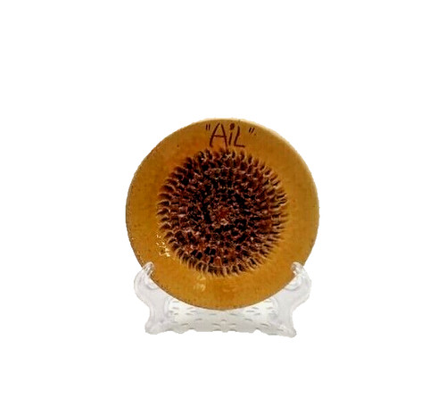 Gratte ail rond - pied, en