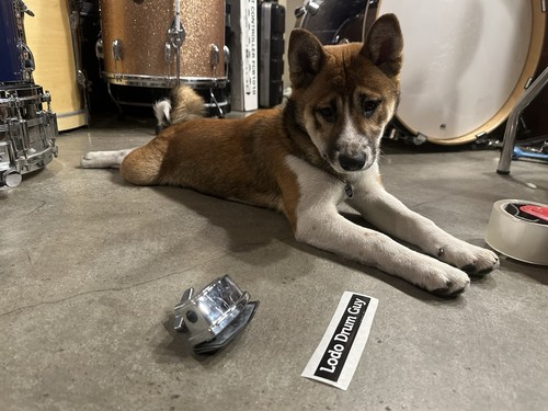 Tama tom drum post leg - tom,