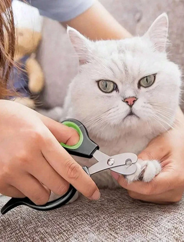 Pince griffes en - à,