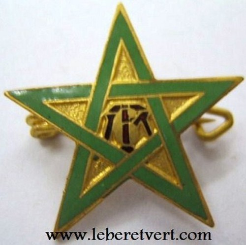 Insigne boutonnière rtm - insigne,
