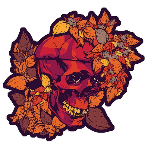 Tete mort automne feuilles - tete, de