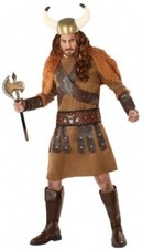 Déguisement Homme VIKING