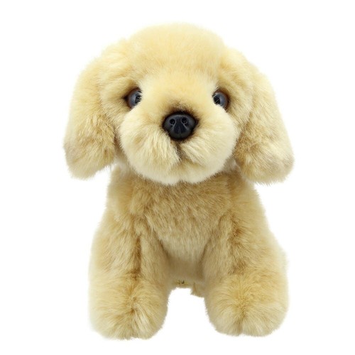 Peluche chien labrador - chien,
