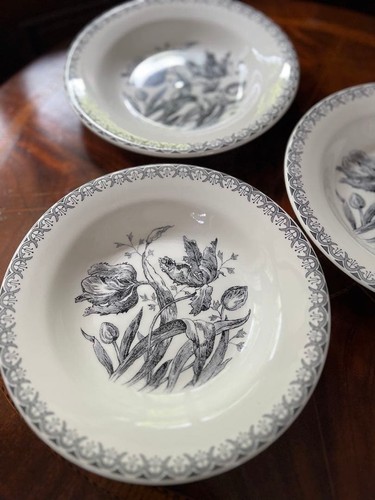 Lot assiettes à pâtes - lot, 3
