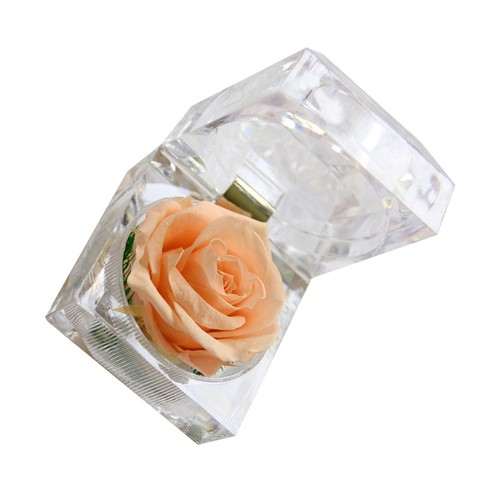 Fleur éternelle cadeau saint - fleur,