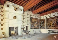 US40  hunting France Loire