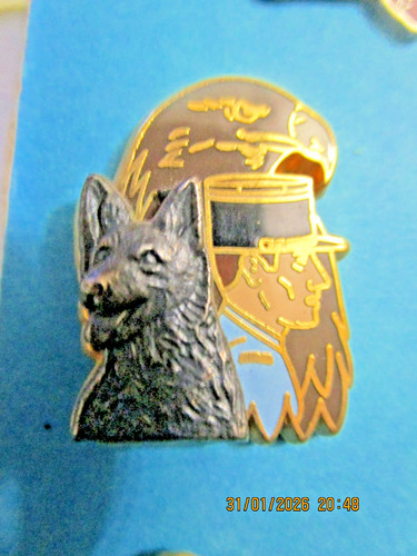 Pin gendarmerie nationale - pin's, /