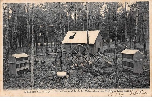203182 salbris - .,