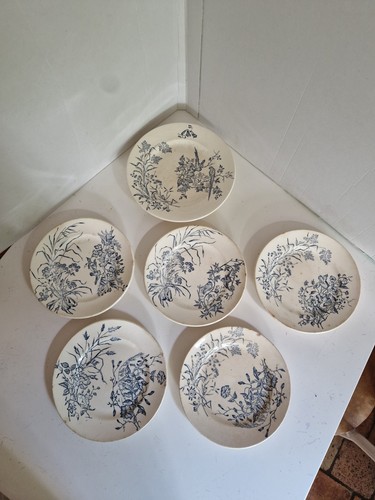 Lot assiettes plates plus - 5,