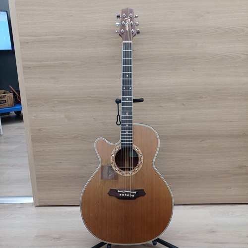 Guitare acoustique électrique