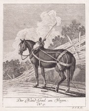 Pferd Horse Gravure En Cuivre Augsburg J. E. Ridinger 1760