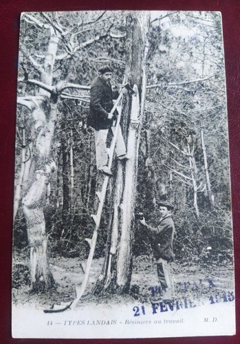 Cpa carte postale - carte,