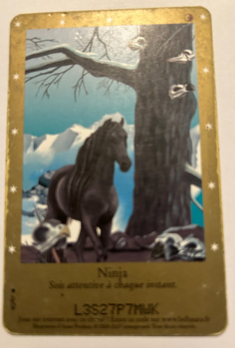 Carte bella sara ninja 97 - bella,