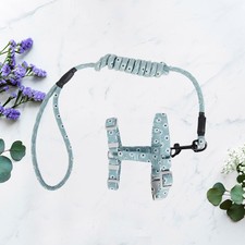  Laisse Chat Harnais Pour