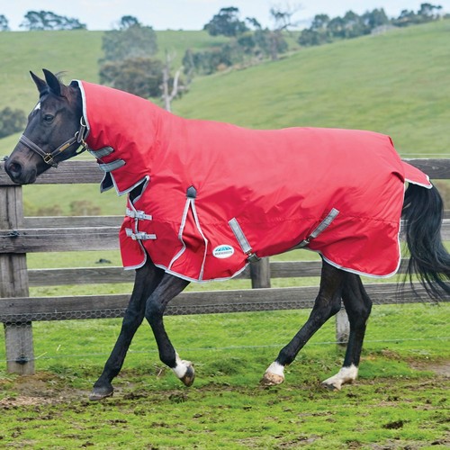 Weatherbeeta comfitec classic - weatherbeeta,