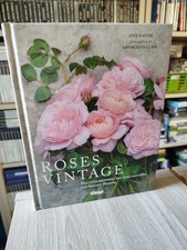 Roses vintage: Des roses