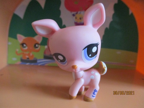 Petshop biche 1414 - petshop, #1414