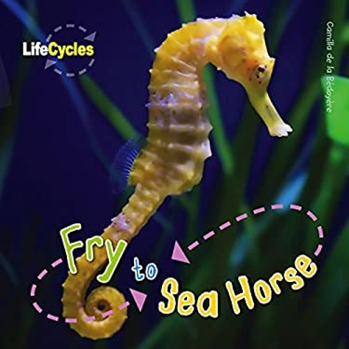 Fry hippocampe broché - au,