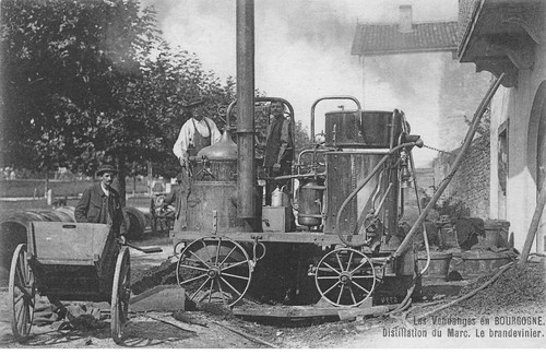 Les vendanges bourgogne - 71, en