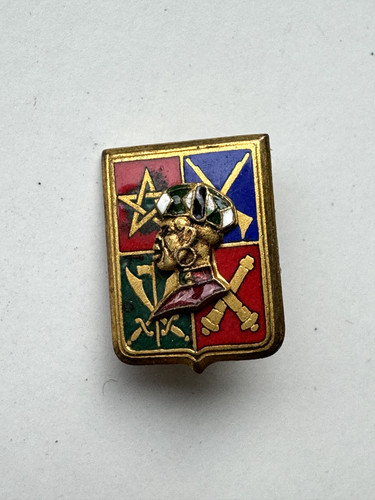 Insigne afn garde - insigne,