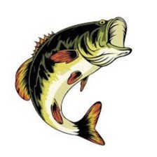 Bass Fishing Mystery Box