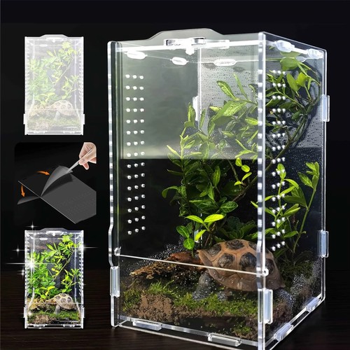 Terrarium acrylique