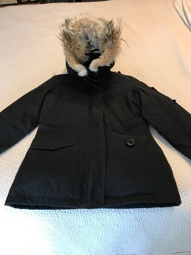 Canada goose montebello - canada,