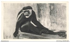 AYUP6-0428-AFRIQUE EQUATORIALE