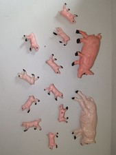 ACEDO ferme lot truie, cochon