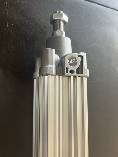 Verin pneumatique d50 c100 - pneumatique,