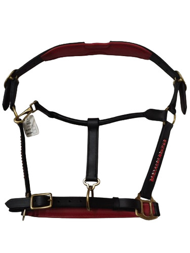 Support anatomique cheval - , en