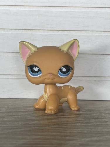 Petshop chat - 🌟🌟petshop,