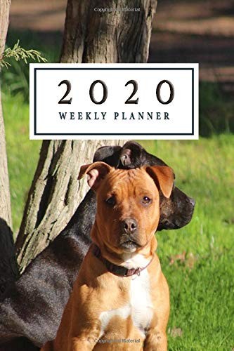 2020 weekly planner staffie - 2020,