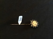 Épingle à chapeau argent