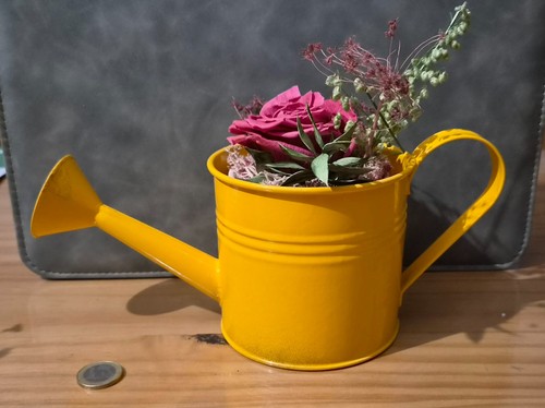 Mini arrosoir jaune - , +