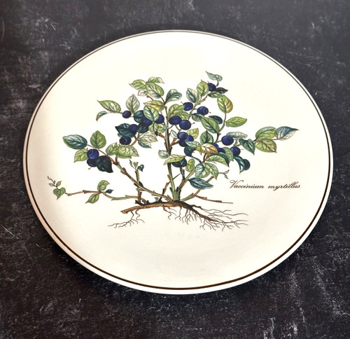 Villeroy boch botanica - boch,