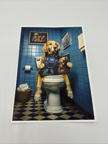 Affiche chien golden retriever - affiche,