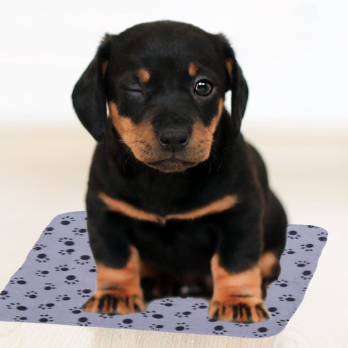 Plaid pour chien - plaid,