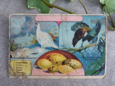 CHROMO PUBLICITAIRE ANCIEN IMAGE À COLLECTIONNER, COQ DE BRUYÈRE - AU CHAT BOTTÉ