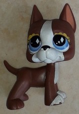 Petshop chien Danois Dogue