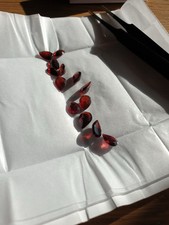 Lot de Grenats Naturels – Variété de Tailles et de Formes