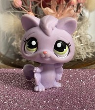 🌺Petshop Sugar Glider