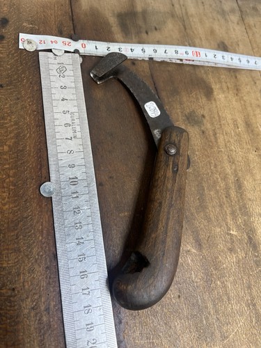 Rainette marquage forestier - rainette,