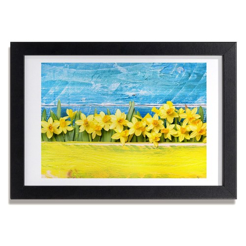 Tulup photo salon 30x20cm - photo,